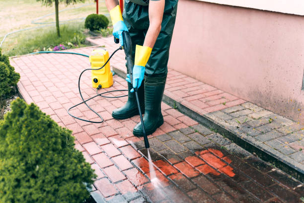 Best Driveway Pressure Washing  in Harbison Nyon, CA